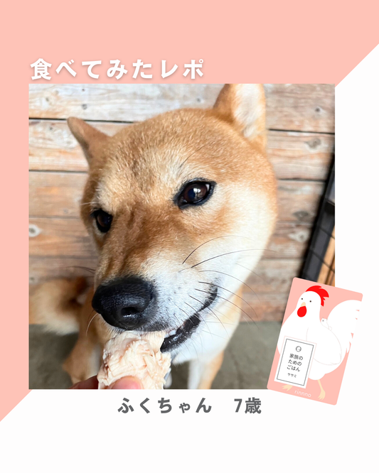 子犬の頃から食欲にムラがあったけど…